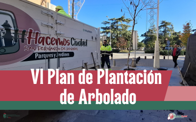 VI Plan de Plantación de Arbolado: casi 200 nuevos ejemplares para un San Fernando más verde