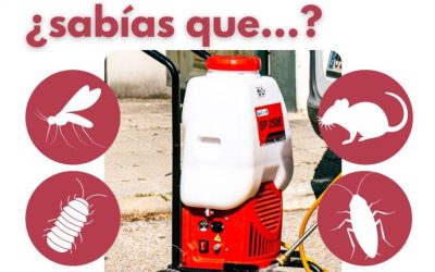San Fernando de Henares dispone de un servicio municipal integral para el control de plagas