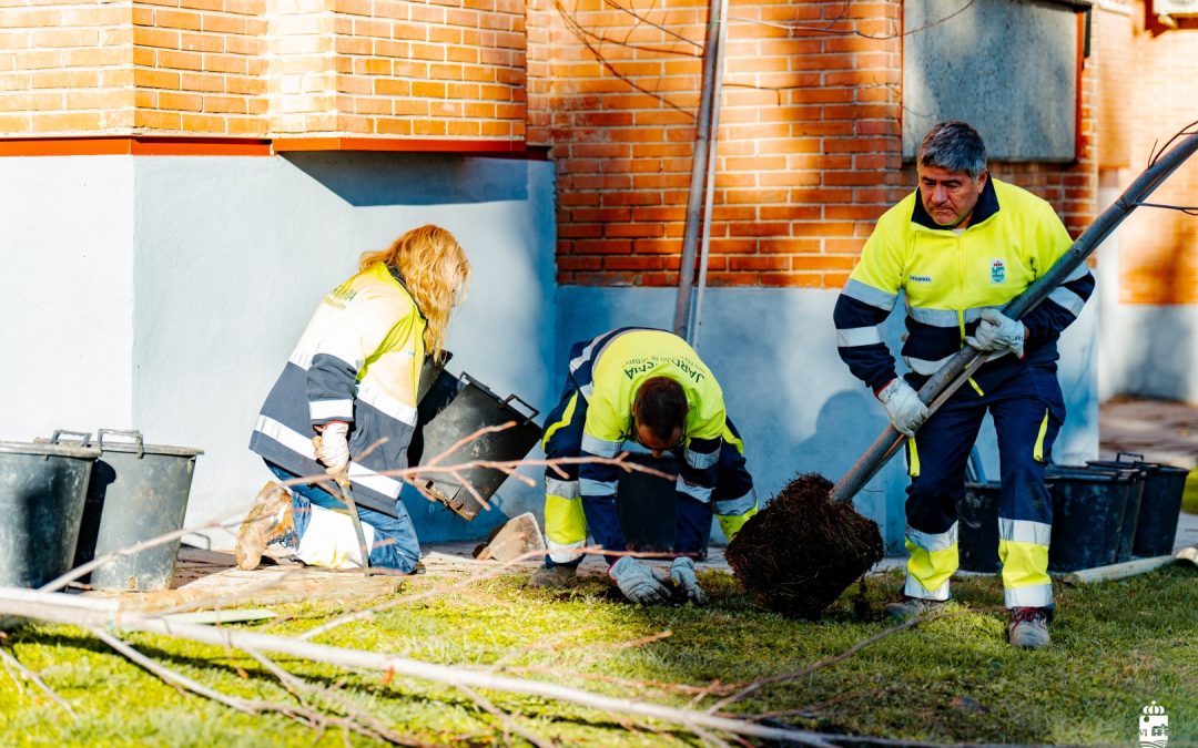 Arranca el VII Plan Municipal de Arbolado, con la plantación de más de 150 nuevos ejemplares en diferentes puntos de San Fernando de Henares